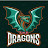 @thedragons4221