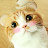 @Lydia-qw6dy