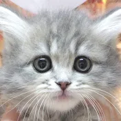ペット蔵人
