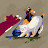 @user-eu3oo7tg3d