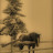 @mattybleak's avatar