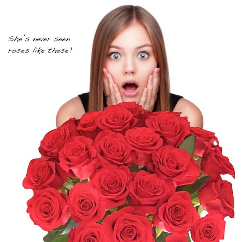 flowernpetals 9711655952