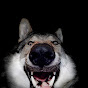 Negan - The Sillyvakian Wolfdog logo