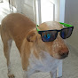 twobita33
