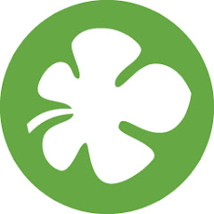 Delta Israel