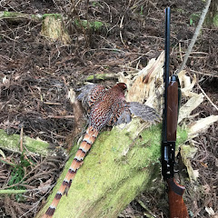山鳥さわくだりアイコン画像