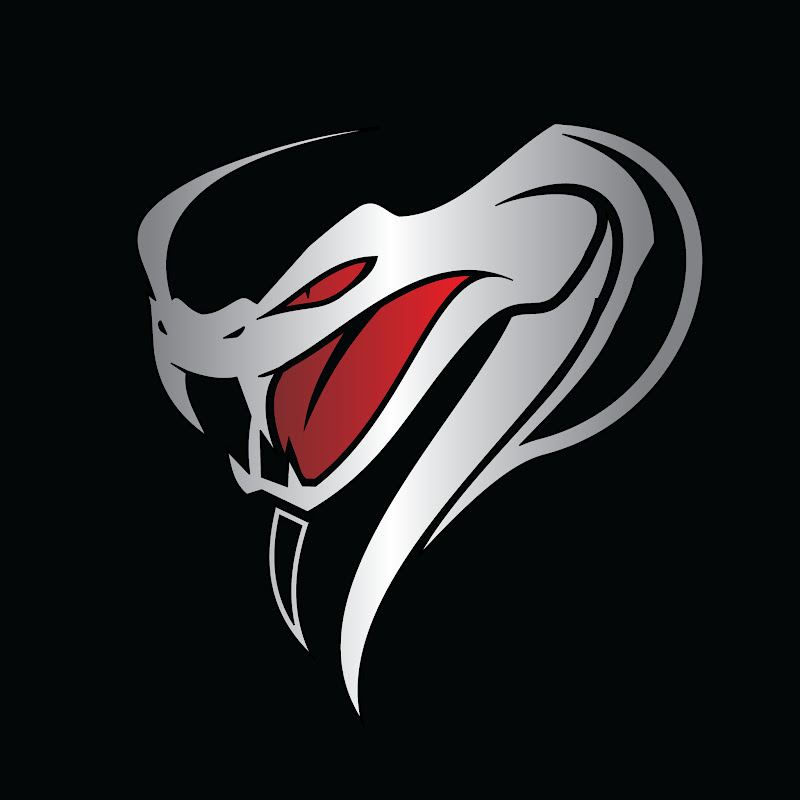 Venom Builds