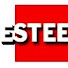 LxiBcaL9u2U-channel-avatar-EsteemTelevision