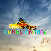 CANAL ANIMAL