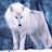 @valenesco45 Avatar