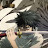 @aNiMeLoVEr-bu1ub's avatar