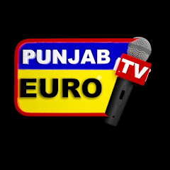 Punjab Euro TV net worth