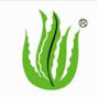Phyto Naturals logo