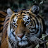 yuY2vaYmigQ-channel-avatar-Nathalie A