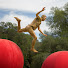 snk9R_3-__o-channel-avatar-Derek Stusynski