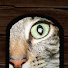 oGzaSPUQkEM-channel-avatar-anonymouspatapon