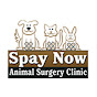 SpayNow logo