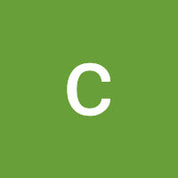 Profile Picture of copito