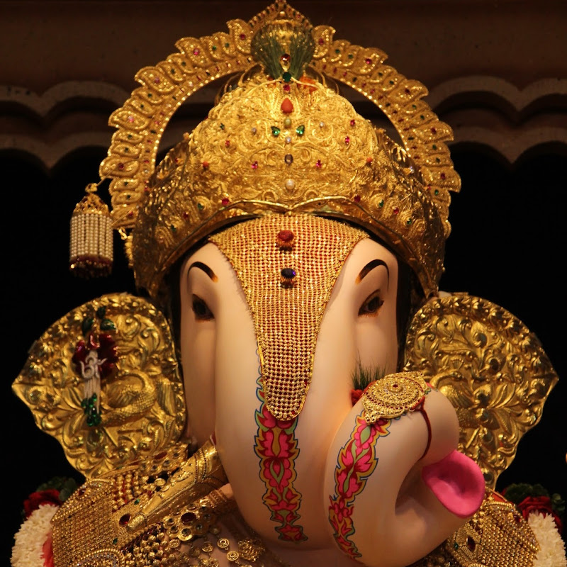 Vishal Pathare