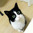 @리베냥-z8d