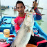 gi2sECmylU0-channel-avatar-Mat.E Fishing