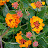@dsrtfitphotography4310 Avatar
