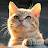 @1407qnshd