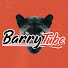 HB0YuUEQnEI-channel-avatar-BarryTube