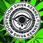 Boom Shiva Kennel logo