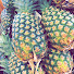 -EmBgUQCYcQ-channel-avatar-Pine Applezzz