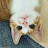 @복둥이-p9f