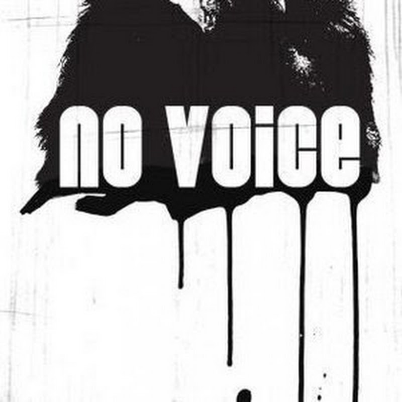No Voice