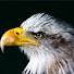l7LixOT3AWs-channel-avatar-Judge Dread