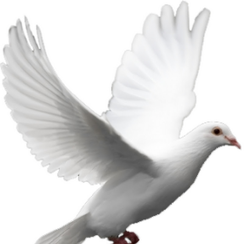 Сеятель Веры- Азы Православия Logo