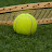 Play Tennis