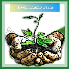 D' Green Thumb avatar