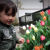Shigeru Vlog