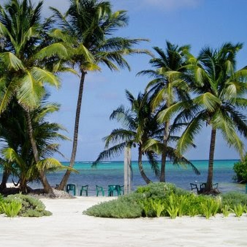 Costa de Cocos