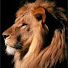 xFFDlVsT1Wc-channel-avatar-Leão de Judá Produções