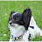 @1965kaplan Avatar
