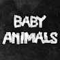 BabyAnimalsVEVO