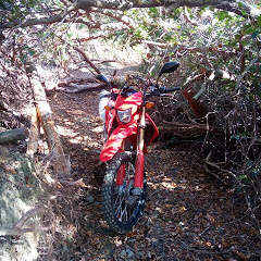 楽しいバイクアイコン画像