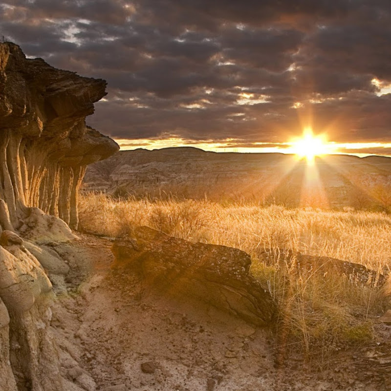 الباقيات الصالحات