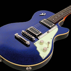 Sharky's guitar place