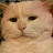 @철덜든애