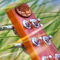 Anderwood Weissenborn Guitars