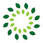 Zentrum der Gesundheit Avatar