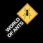 Steffen Kraus (WorldOfAnts) logo