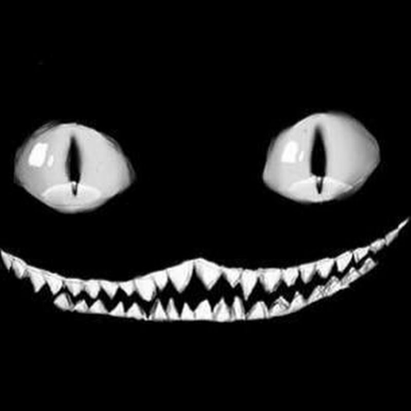 Trastorno Nocturno