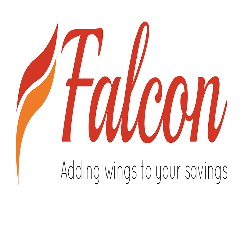 Falcon Wealth